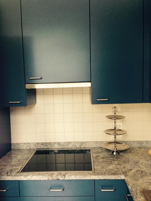 Avliving City Flat Basel With Roof Garden Экстерьер фото
